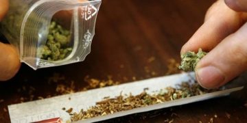 House of Reps Set To Legalise Use of Indian Hemp For Economic Benefits— Spokesperson