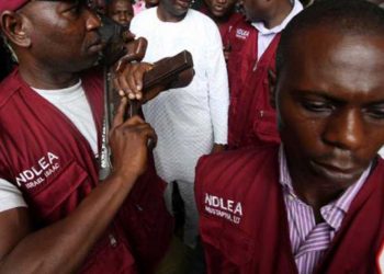 Unknown Gunmen Burn Down Ohafia Branch of NDLEA