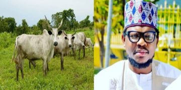Cattle More Valuable Than Oil and Gas —Adamu Garba