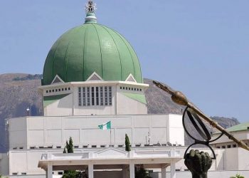 Panic As Security Reports Uncover Planned Attack In National Assembly