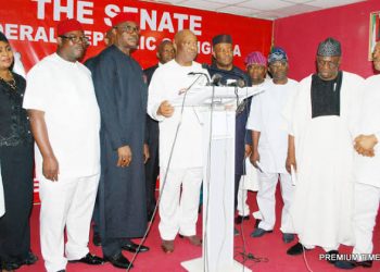 Southern Senators Back Governors Call For Restructuring, State Police, Ban on Open Grazing