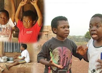 Southern Senators Back Governors Call For Restructuring, State Police, Ban on Open Grazing