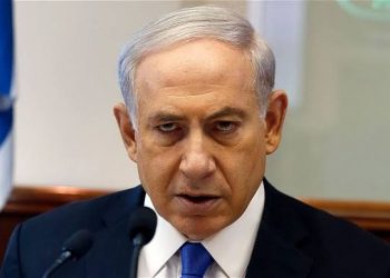 Netanyahu says Israel can fight alone