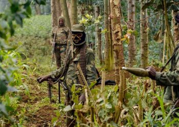 Rwandan Army Foils Militant Attack Near Burundi Border