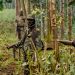 Rwandan Army Foils Militant Attack Near Burundi Border