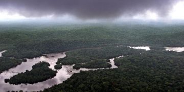 Gabon Receives Payment For Protecting its Rainforest