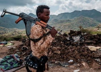 Somalia Troops Fought in Tigray War – UN Report