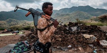 Somalia Troops Fought in Tigray War – UN Report