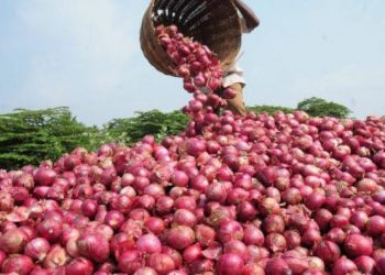 Onion Supply to Nigeria’s Southeast Suspended