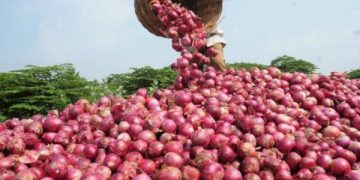 Onion Supply to Nigeria’s Southeast Suspended