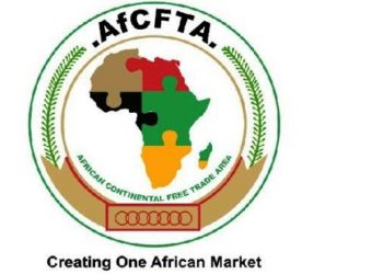Nigeria Opens AfCFTA Air Corridor, Reducing Export Costs To Key African Markets