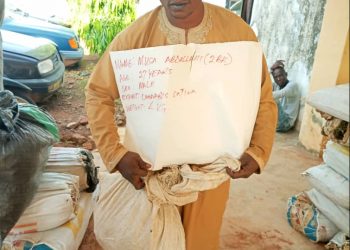 NDLEA Bursts Interstate Drug Cartels in Kogi, Nasarawa, Benue