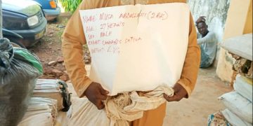 NDLEA Bursts Interstate Drug Cartels in Kogi, Nasarawa, Benue