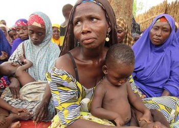 Over 17,000 Babies Birthed By IDPs In Borno Alone- IOM