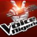 The Voice Nigeria Winner To Take Home N10m, Other Prizes