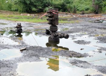 Supreme Court Stops Ceding of 17 Oil Wells To Imo State