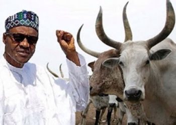 Nigeria’s President Approves N6.52bn For Ranching In His Home State, Katsina