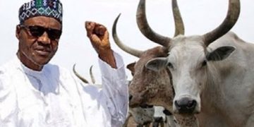 Nigeria’s President Approves N6.52bn For Ranching In His Home State, Katsina