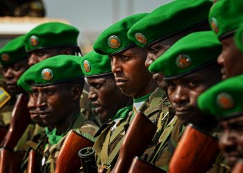 14 Militants Killed By Rwandan Forces In Mozambique