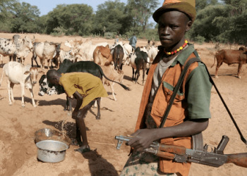 Insecurity: How Border Security Agents Run ‘Shifts’ With ‘Bush Fulanis’ In Katsina