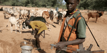 Insecurity: How Border Security Agents Run ‘Shifts’ With ‘Bush Fulanis’ In Katsina