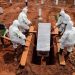 World Passes Threshold Of 4.5m Covid Deaths