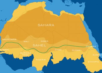 11 African Countries Endorse Nigeria To Chair PAGGW