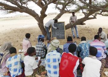99,239 Pupils Enrolled For Nomadic Education In Bauchi