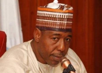 Boko Haram Massive Surrender Worries Borno Leaders