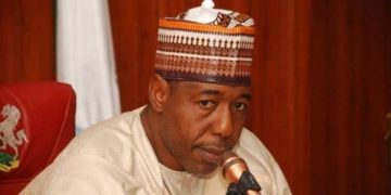 Boko Haram Massive Surrender Worries Borno Leaders