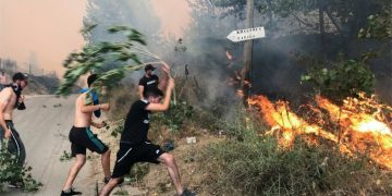22 Suspects Behind Algeria Wildfire Arrested