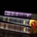 NCC Seizes 250 Copies Of Pirated Bibles In Niger State
