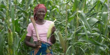 CBN Disburses N791bn To Over 3milion Farmers