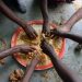 Nigerian Govt Steps Up Awareness On Food Security