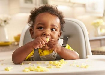 Why Children Require Eggs In Their Diet