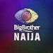 BBNaija: Pere, Cross, Sammy, JMK, Maria, Queen Nominated For Possible Eviction