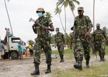 Opposition Party Questions Presence Of Foreign Troops in Mozambique