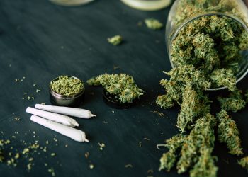 Nigerian Governor Opposes Legalisation Of Cannabis