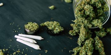 Nigerian Governor Opposes Legalisation Of Cannabis