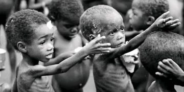 Nigeria: Teachers Trained On Detecting Malnutrition Among Children