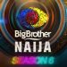 BBNaija: Pere, Saga, Emmanuel, Liquorose, White Money, Jaypaul, Saskay, JackieB Nominated For Possible Eviction