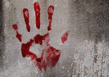 South African Businessman Murdered By His Zimbabwean Employee