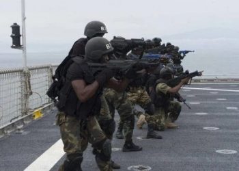 Nigeria: Navy Chief Tells Govt To Build Border Walls