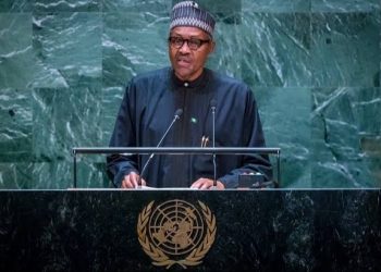 UNGA 77: Nigeria Reiterates Commitment To Renewable Energy Transition