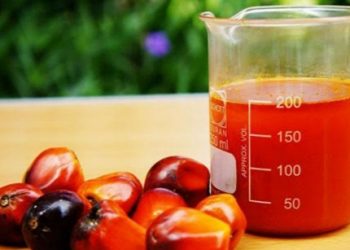 Nigeria’s Food, Drug Control Agency Urges Caution Over Reddish Palm Oil