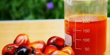 Nigeria’s Food, Drug Control Agency Urges Caution Over Reddish Palm Oil