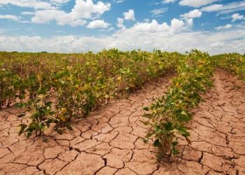 2023 Hottest Year On Record - Report