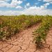 2023 Hottest Year On Record - Report