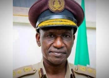 Nigeria: Immigration Boss Disguises As Passport Applicant To Apprehend ‘Corrupt’ Officers