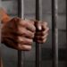 Inmates In Ethiopia Plead For Transfer To Nigerian Prisons
